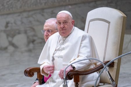 Papa Francisco durante audiência