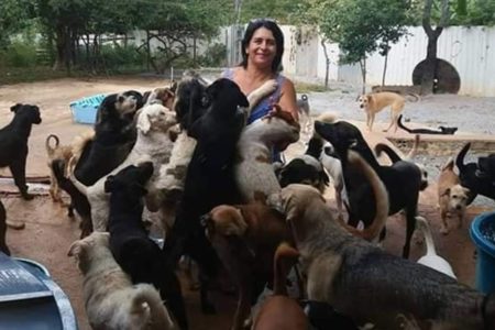 Foto colorida de mulher com cachorros