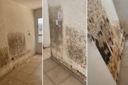 Imagens mostram paredes de apartamento mofada