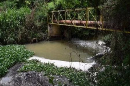 Rio Pirapora com despejos de esgoto - Metrópoles
