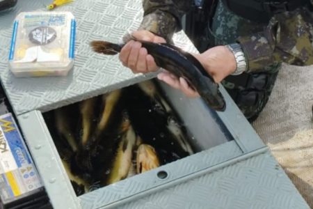 Imagem colorida de um homem branco segurando um dos 29 peixes da espécie Tucurané que foram capturados - Metrópoles
