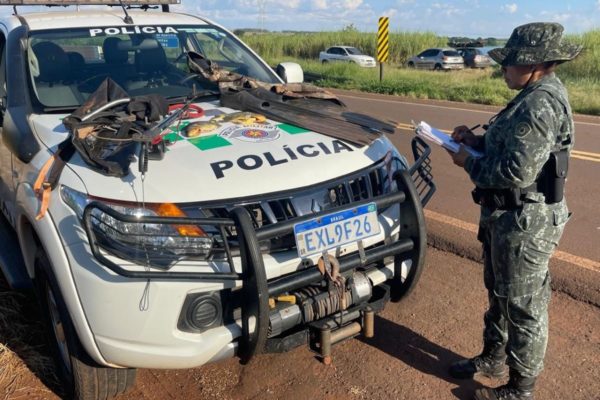 Apreensão de apetrechos de pesca durante flagrante de pesca ilegal no Rio Laranja Doce, em SP - Metrópoles