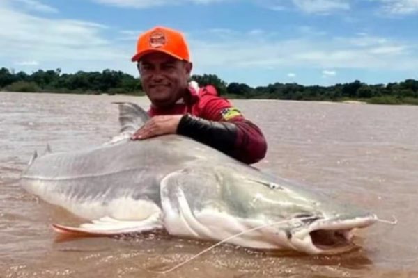 imagem colorida peixe 120 kg goias