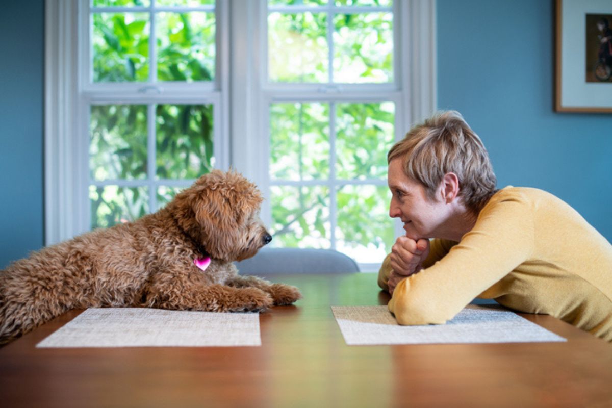 Imagem colorida de mulher encarando cachorro sob a mesa
