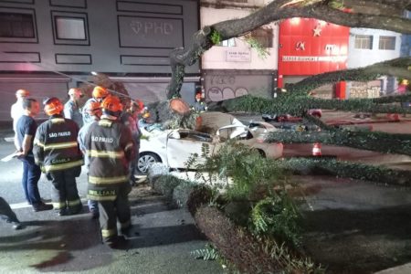 Imagem colorida mostra taxi embaixo de árvore na Avenida Senador Queirós, no centro de São Paulo - Metrópoles