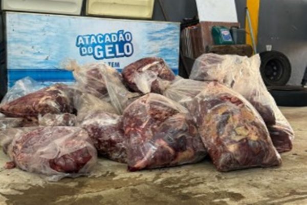 Veja galpão onde hambúrguer de cavalo era feita em fábrica clandestina