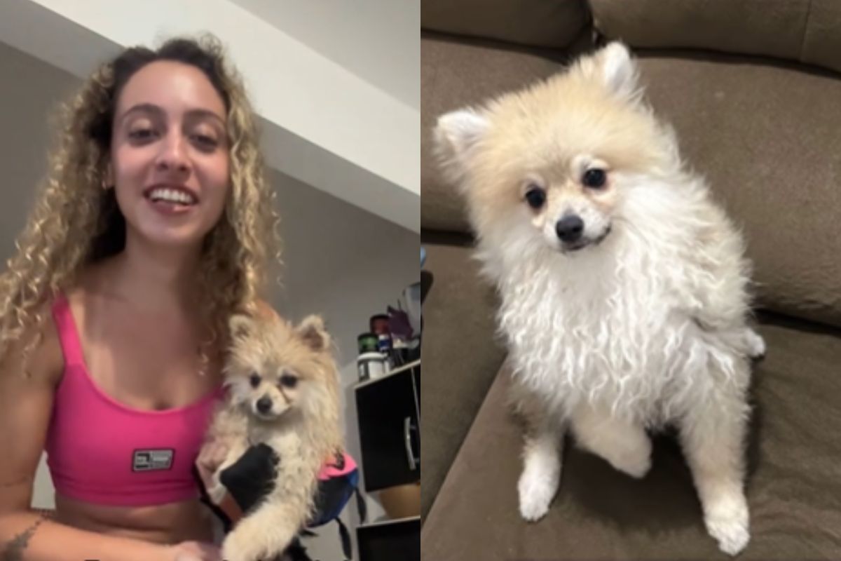 Montagem de duas imagens coloridas de mulher carregando cachorro da raça spitz alemão