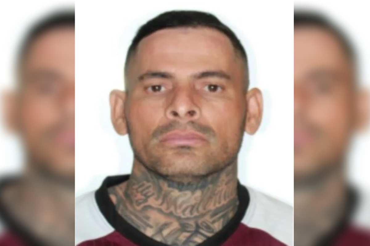 Mauro Alves De Menezes