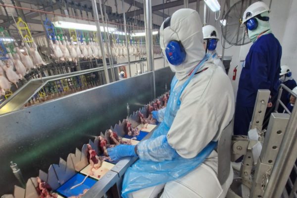 Trabalhadores em uma linha industrial de frigorífico da BRF, em Marau (RS)