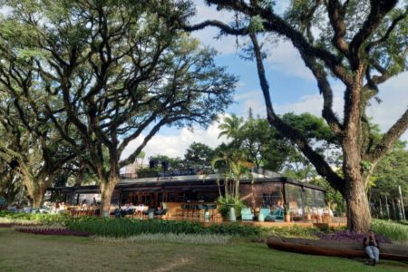 Imagem mostra Parque Ibirapuera em São Paulo - Metrópoles