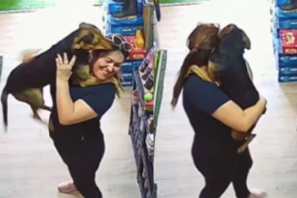Montagem de duas imagens coloridas de lojista carregando cachorro