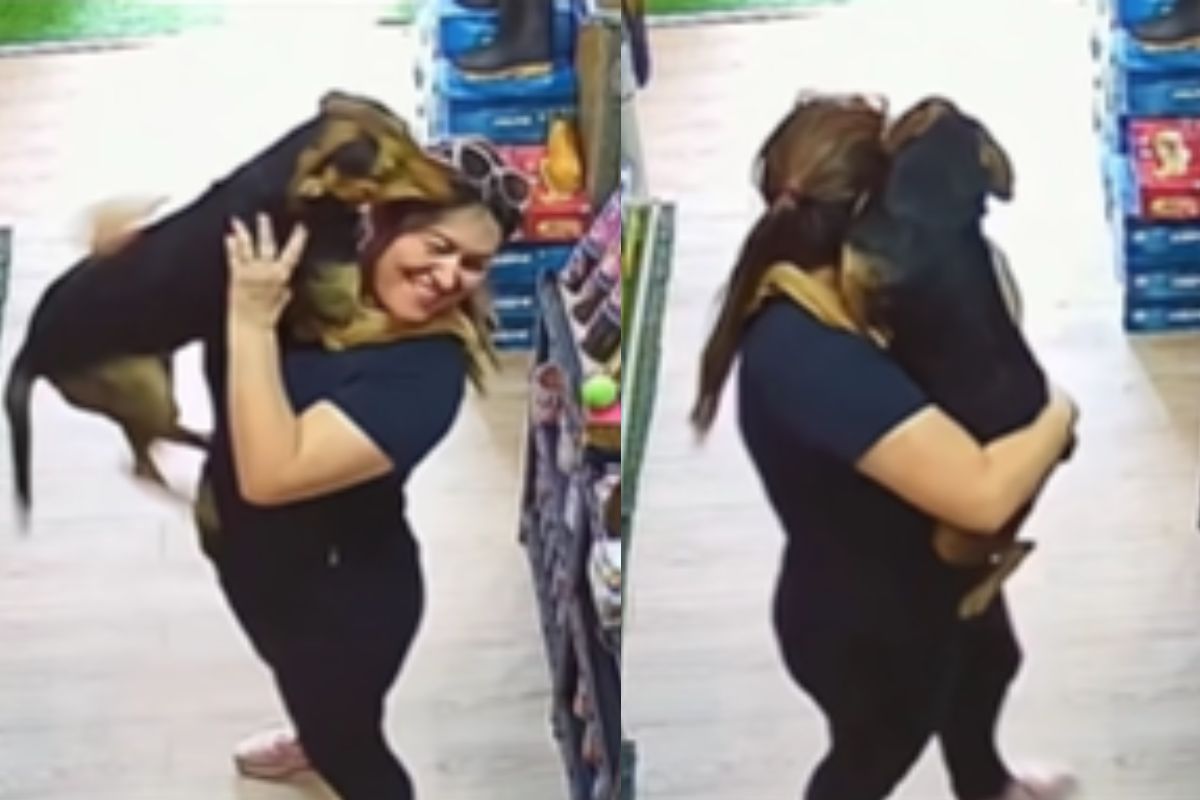 Montagem de duas imagens coloridas de lojista carregando cachorro
