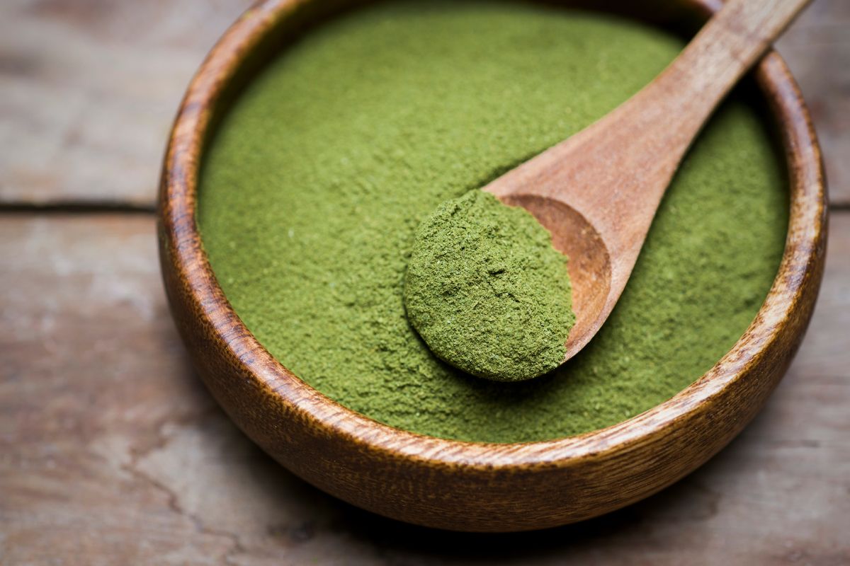 Chá de moringa