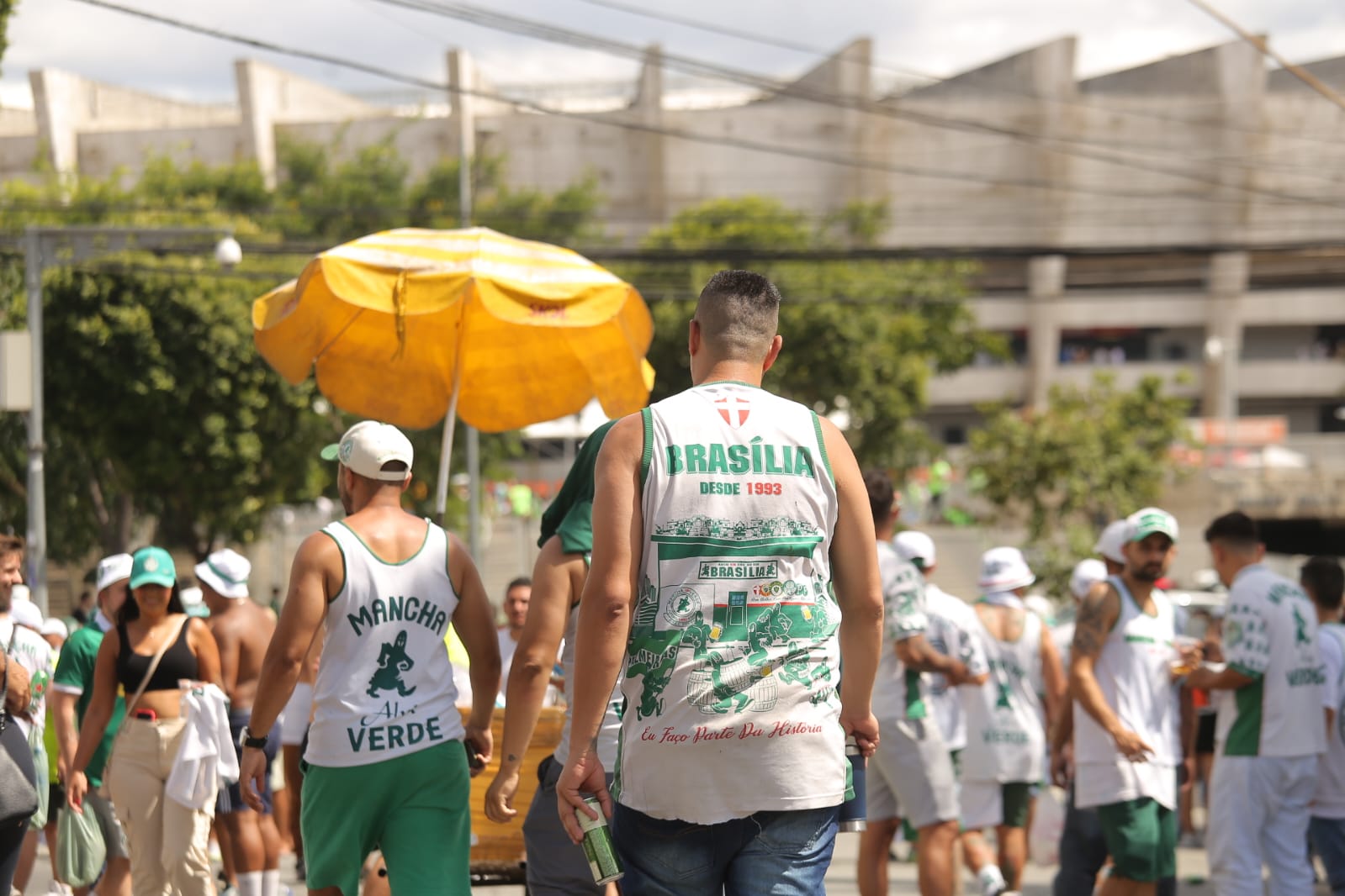 Mancha Verde